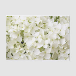 Papel De Seda Fiesta de verano de Hydrangea Blanca