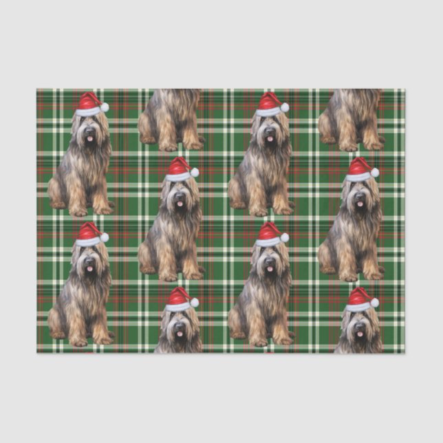 Papel De Seda Fiesta verde de Briard Shepherd Dog Lover (Anverso)