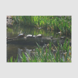 Papel De Seda Fila de Tortugas Foto Verde de la Naturaleza