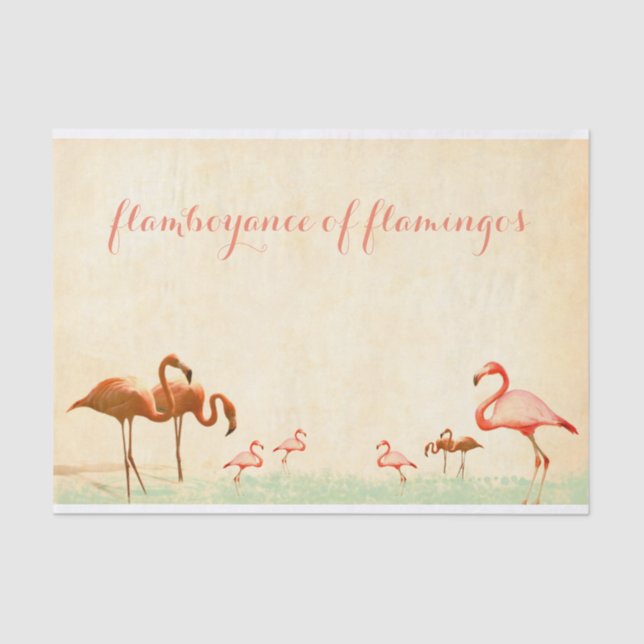 Papel De Seda Flamboyancia de Flamingos Flamingo estilo de época (Anverso)