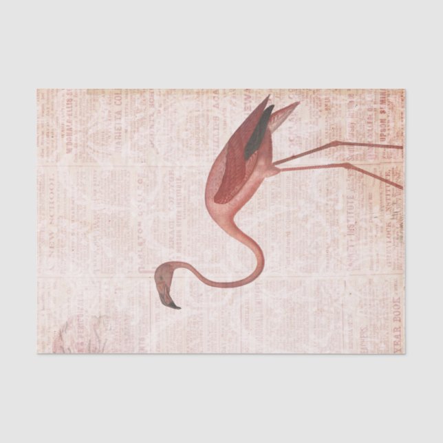 Papel De Seda Flamenco Rosa Vintage (Anverso)