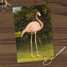 Flamingo de Coral Vintage en Miami FL Rare Bird Fa