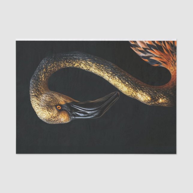 Papel De Seda Flamingo negro y oro7 (Anverso)