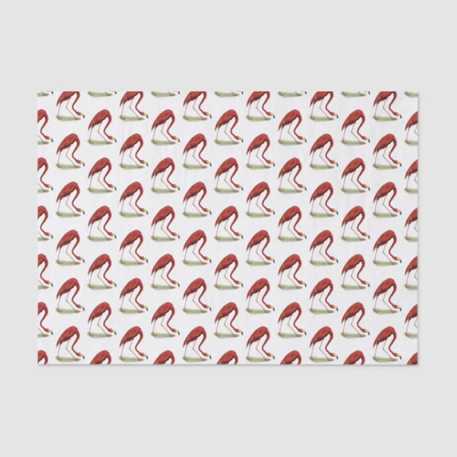 Papel De Seda Flamingo rosa vintage #1 (Anverso)
