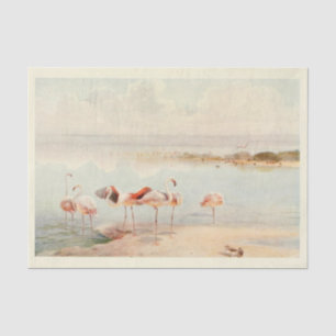Papel De Seda Flamingoes Bird Ephemera Decoupage Vintage Art