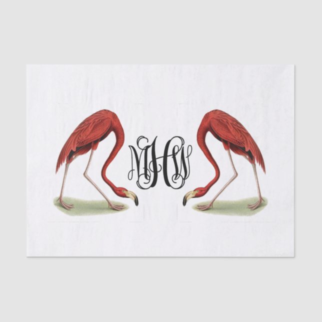 Papel De Seda Flamingos Black Vine Script Monograma DIY BG (Anverso)