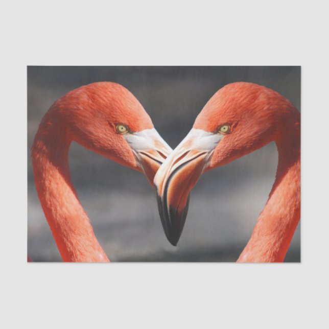 Papel De Seda Flamingos enamorados (Anverso)