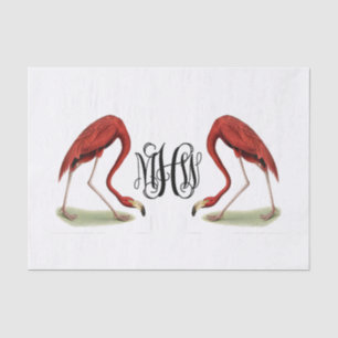 Papel De Seda Flamingos Monograma de Escritura de Vid Negra DIY