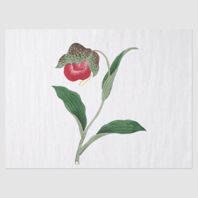 Papel De Seda Flor (Anverso)