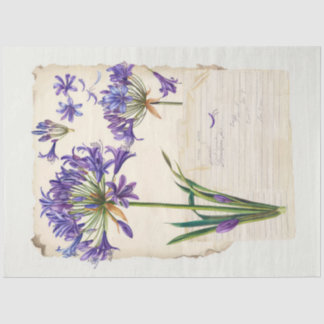 Papel De Seda Flor agapanthus Ephemera Collage Art