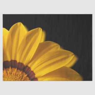 Papel De Seda Flor amarilla sobre fondo negro