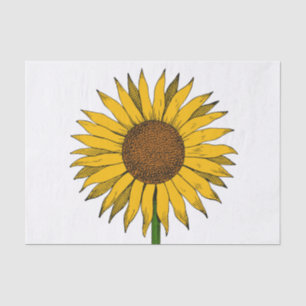 Papel De Seda Flor amarillo girasol