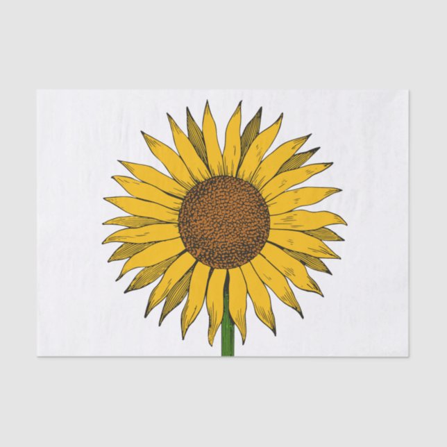 Papel De Seda Flor amarillo girasol (Anverso)