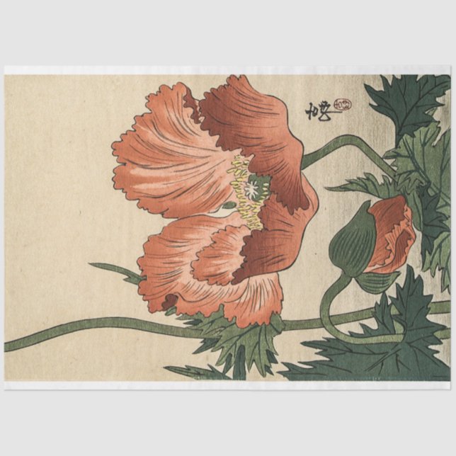 Papel De Seda Flor de amapola de Ohara Koson (Anverso)