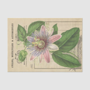 Papel De Seda Flor de avena de flor de pasión