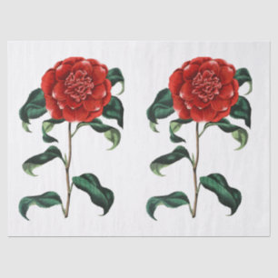 Papel De Seda Flor de Camelia Roja Vintage
