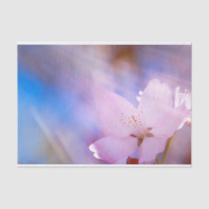 Papel De Seda Flor de cerezo rosa