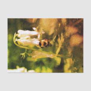 Papel De Seda Flor De Columbina Y Descomposición De La Vintage D