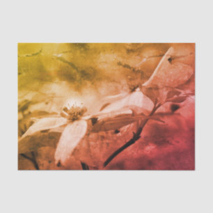 Papel De Seda Flor de dogwood Decoración de color blanco negro