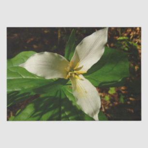 Papel De Seda Flor de flores de trillio blanco