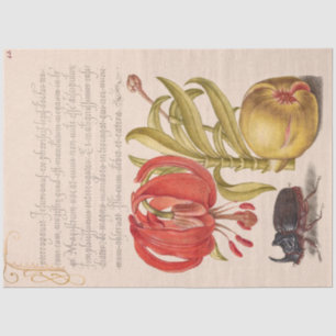 Papel De Seda Flor de grano, fruta y rinoceronte