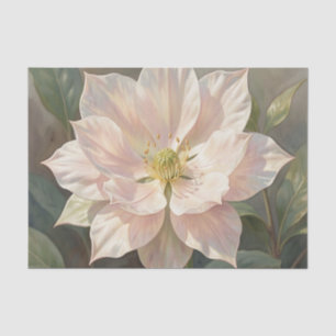 Papel De Seda Flor de Hellebore Rosa Pálido Etéreo en Flor
