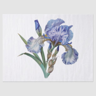 Papel De Seda Flor de iris retro vintage