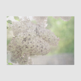 Papel De Seda Flor de Lila Suave Botánica Campestre Blanca