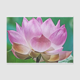 Papel De Seda Flor de Lotus
