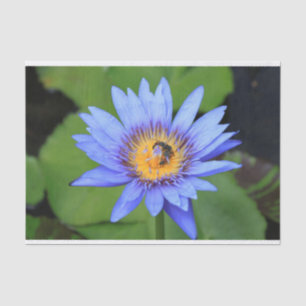 Papel De Seda Flor de Lotus