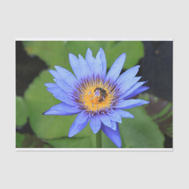 Papel De Seda Flor de Lotus (Anverso)