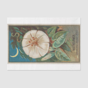 Papel De Seda Flor de luna antigua clásica vintage
