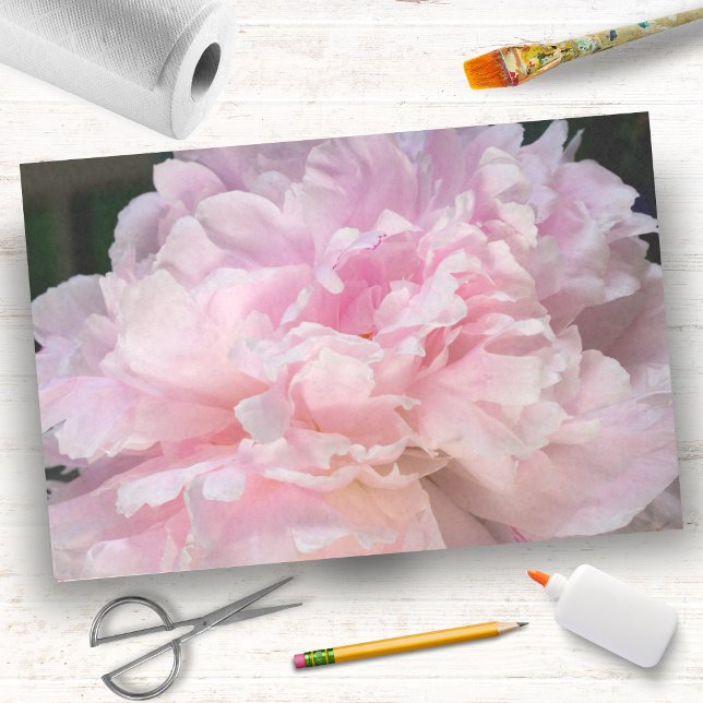 Papel De Seda Flor de Peonía Rosa (Subido por el creador)