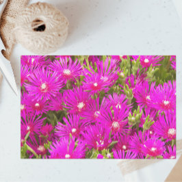 Papel De Seda Flor de plantas de hielo rosa
