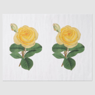 Papel De Seda Flor de rosa amarilla vintage