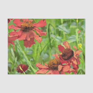 PAPEL DE SEDA FLOR DE RUDBECKIA ROJA