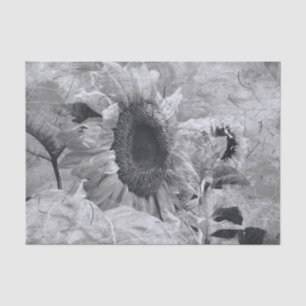 Papel De Seda Flor De Sunflower Floral Negra Y Blanca Vintage Co