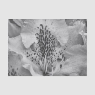 Papel De Seda flor gris