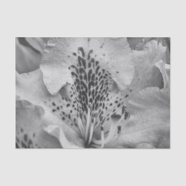 Papel De Seda flor gris (Anverso)