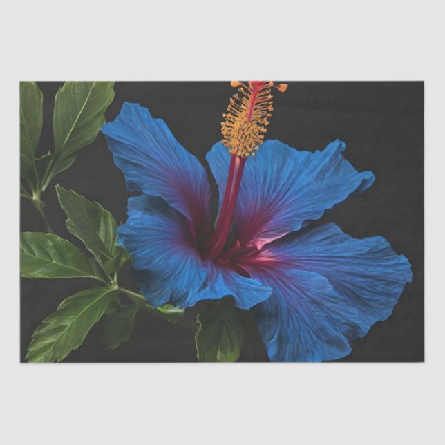Papel De Seda Flor Hibiscus azul en flor, (Anverso)
