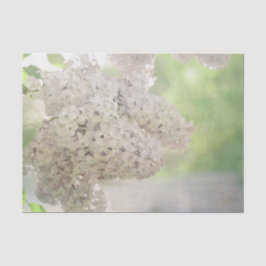 Papel De Seda Flor Lilac Blanquecino Blanco País Botánico