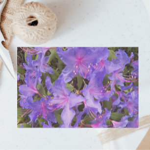 Papel De Seda Flor morada de rododendros florales
