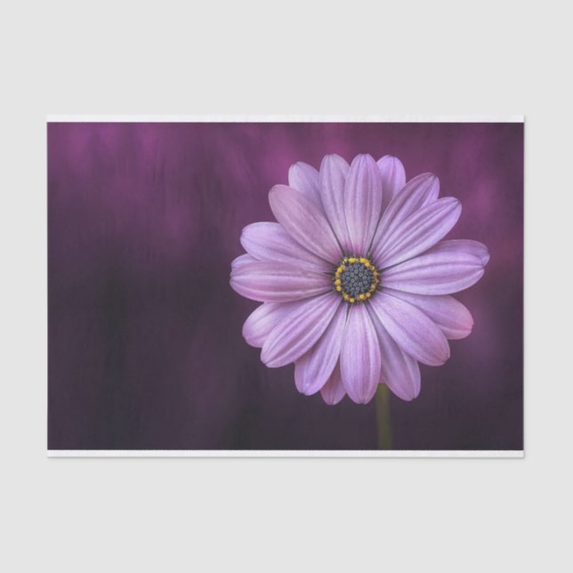 Papel De Seda Flor morada en flor (Anverso)