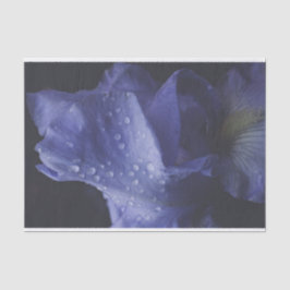 Papel De Seda Flor morada Rosa