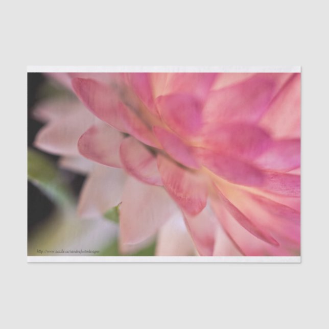 Papel De Seda Flor rosa brillante (Anverso)