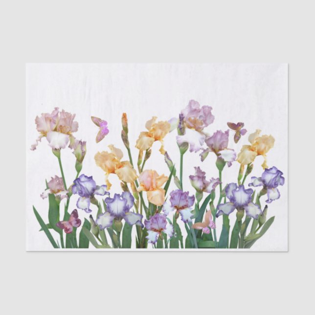 Papel De Seda Flor rosa de mariposa púrpura Iris (Anverso)