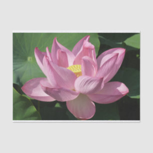 Papel De Seda Flor rosa Lotus IV