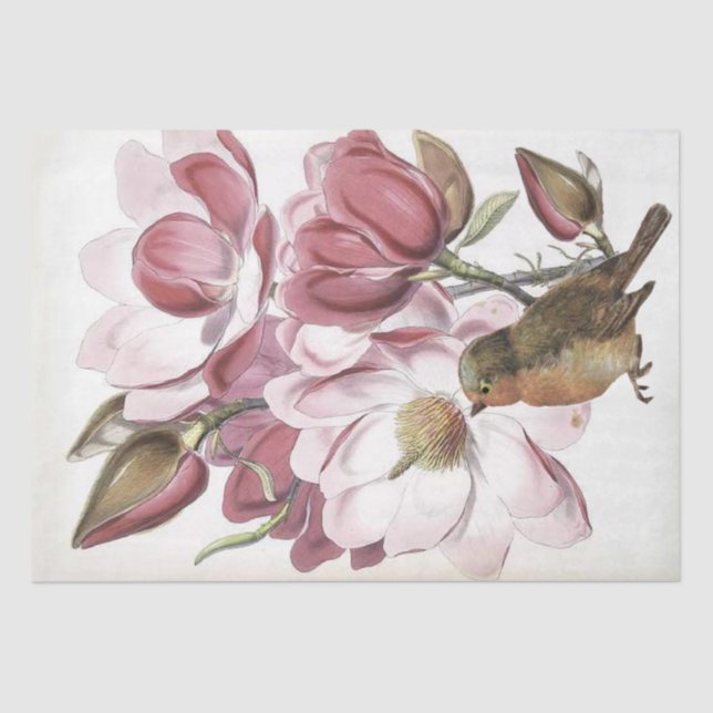 Papel De Seda Flor rosa magnolia flor botánica Robin Bird (Anverso)