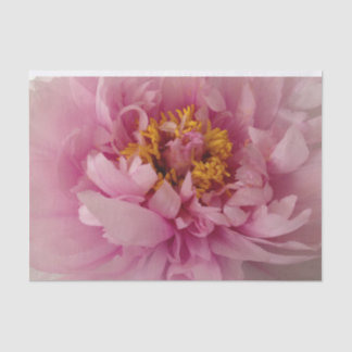 Papel De Seda Flor rosa Peony Blossom Fotografía Decoloración
