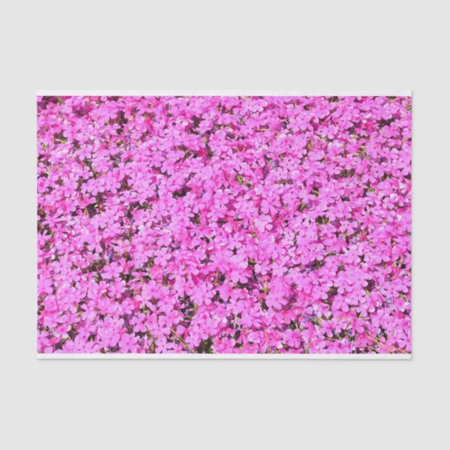Papel De Seda Flor rosa vibrante (Anverso)